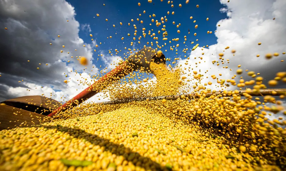 Safra de grãos do Brasil bate novo recorde com colheita de 322,8 milhões de toneladas